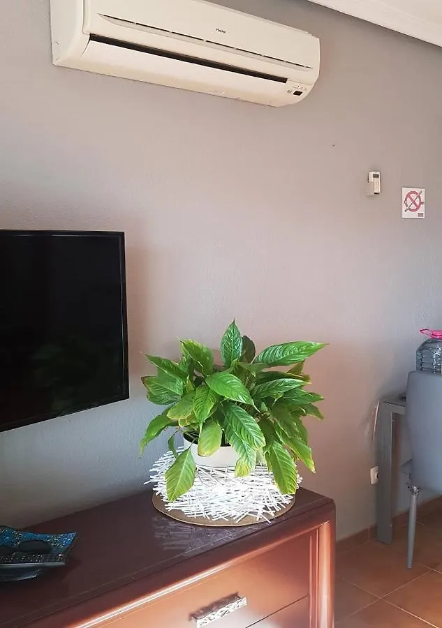 Zen Garden Golf Del Sur Apartment San Miguel de Abona Spain